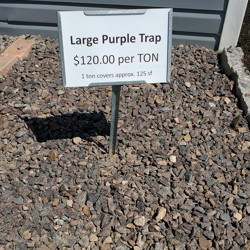 Large Purple Trap