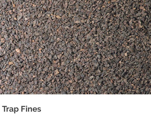 Trap Fines